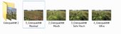 GTA V PC Graphics-Performance Guide V1.0