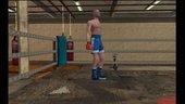 Boxing Savegame