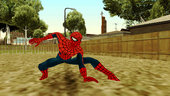 Marvel Heroes - Spider-Man