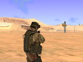 Danish Soldier