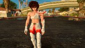Pegasus Seiya Ver2.0