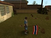 Flags World 3