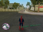 Spider-Man Skin