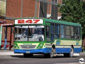 Ugarte Americano III MB OF1418 - Linea 247
