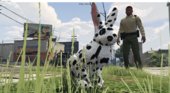 Dalmatian Rabbit Mod V1.0