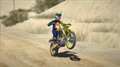 2021 Suzuki RM-Z 250