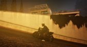 GOLD LED Streetlights 3.5 (LEGACY ONLY)