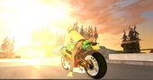 BMW-S1000RR Austin Racing Sound Mods
