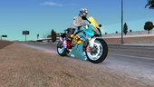 BMW-S1000RR Austin Racing Sound Mods