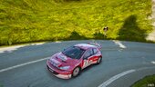 Peugeot 206 WRC Add On Extras Template Tuning LODs VehFuncs V