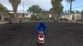 Super Smash Bros Brawl Custom Brawlified Racing Suit Sonic SA2