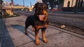 COD Warzone Rottweiler