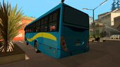 Egyption Bus (Alexandria)