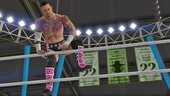 Cm Punk | WWE 2K25 (Add-On Ped)