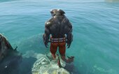 KING SHARK [ Addon Ped ]
