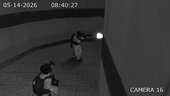 SCP Security Skin Pack