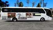 Vietnamese Passenger Bus - Xe khách VN 