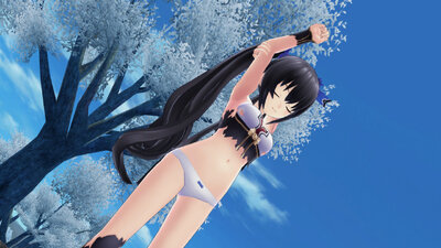 Noire Torn + Tornless [Hyperdimension Neptunia U: Action Unleashed]