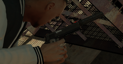 Animated Weapon V - V guns